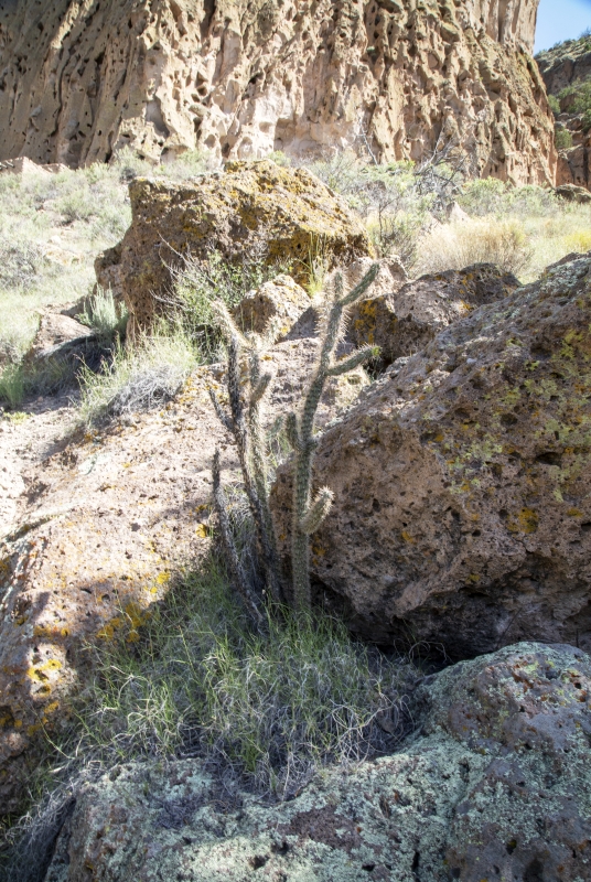 Bandelier National Monument New Mexico Aug 2018